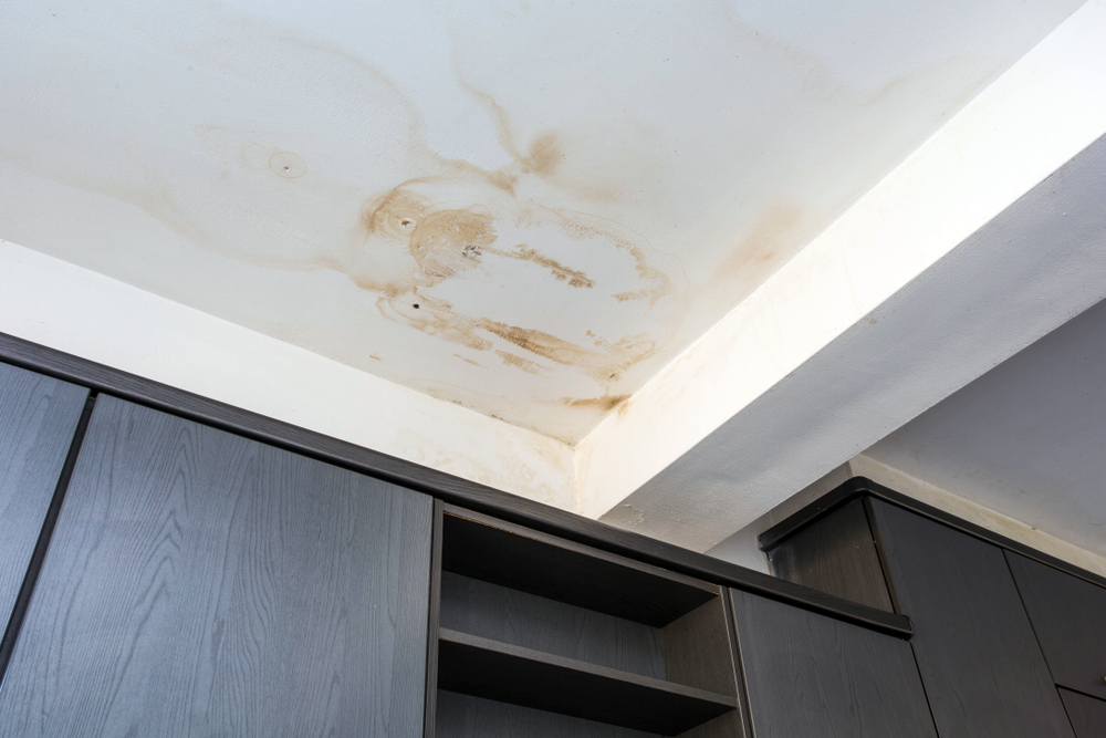 A closeup of a home's ceiling with visible water stains, a key sign of roof leaks